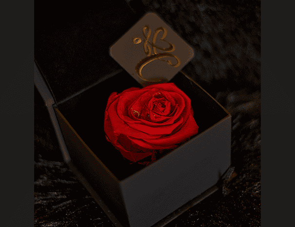 l’éternelle de Cupidon